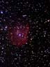 L[_NGC2174-5